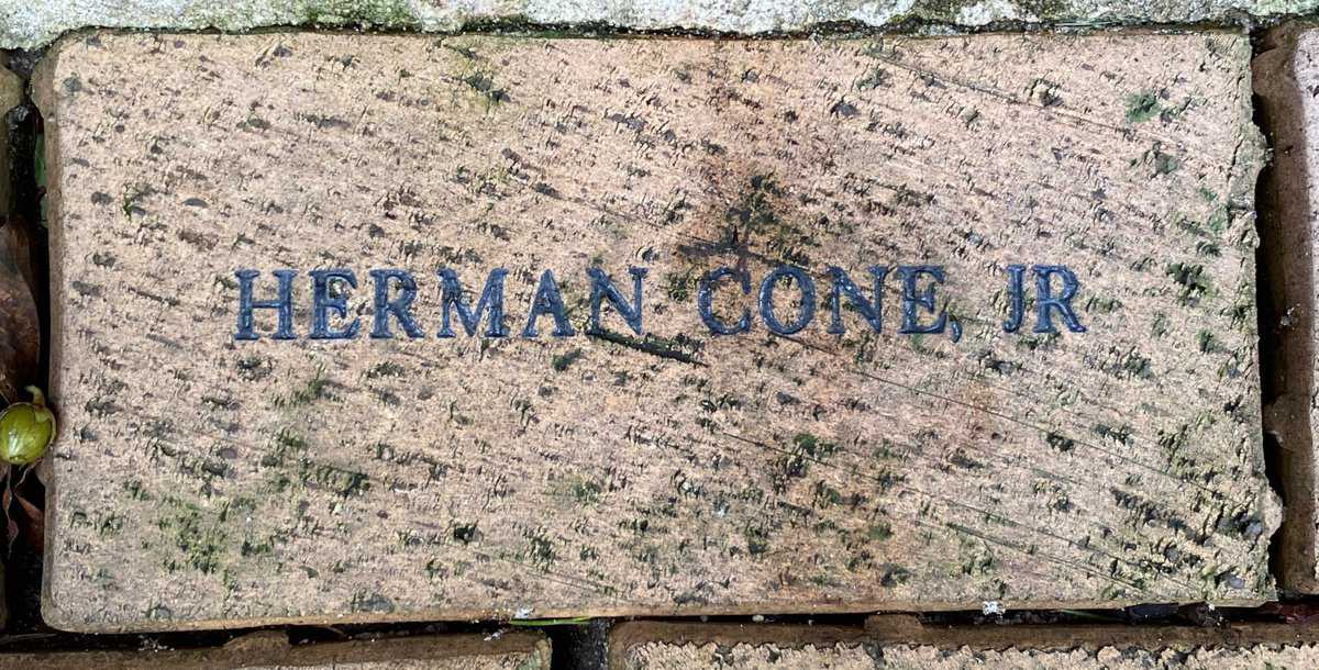 Herman Cone Jr