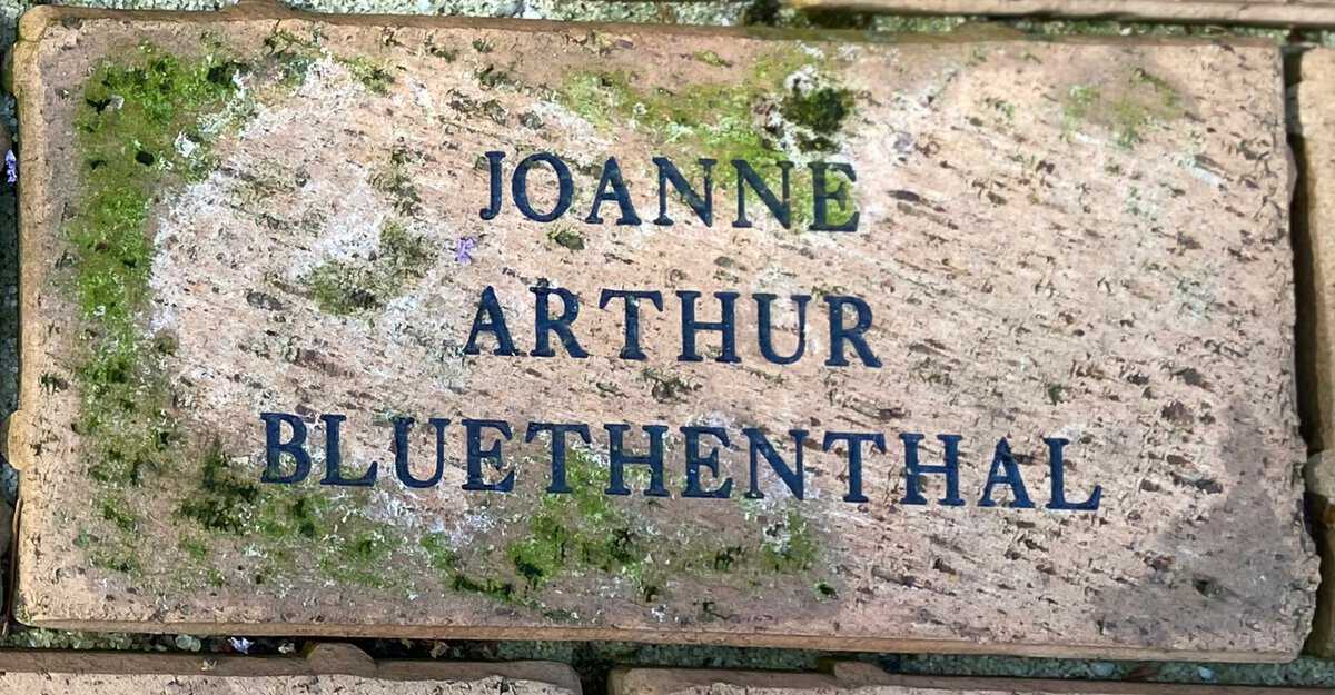 Joanne Bluethenthal