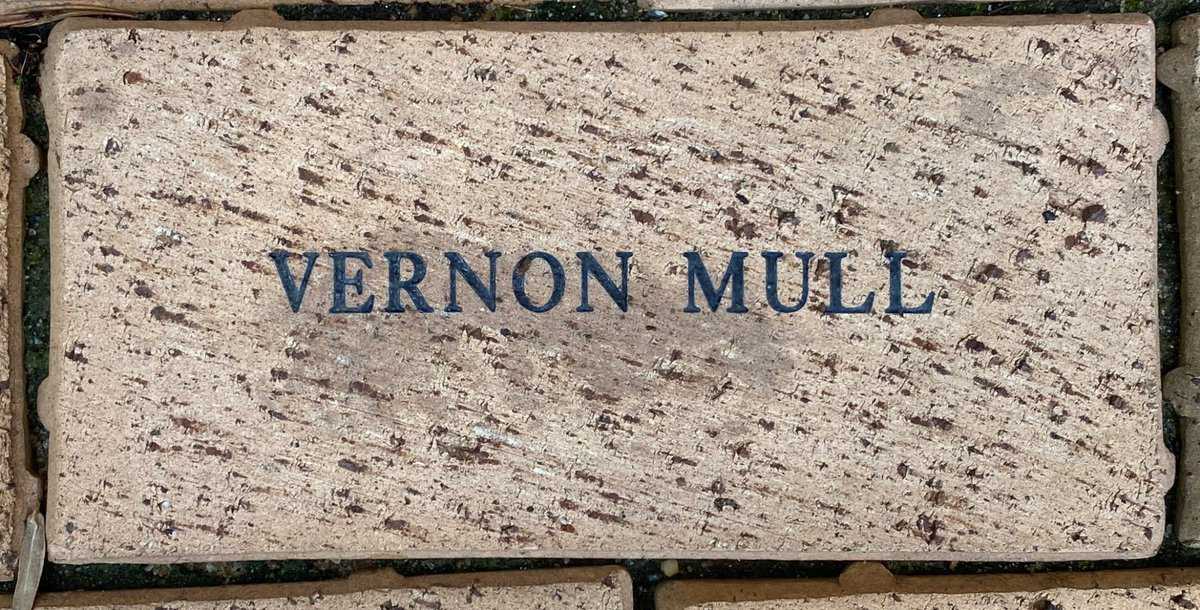 Vernon Mull