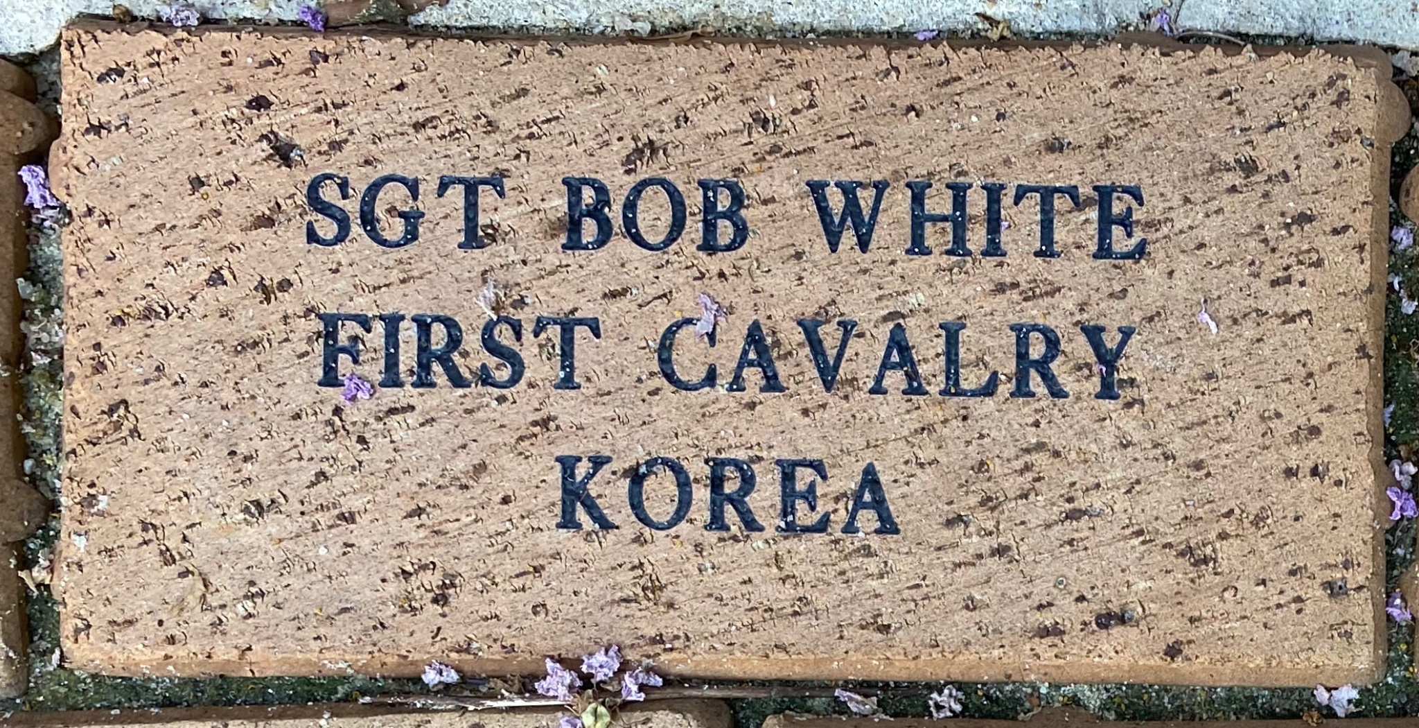 SGT BOB WHITE FIRST CAVALRY KOREA
