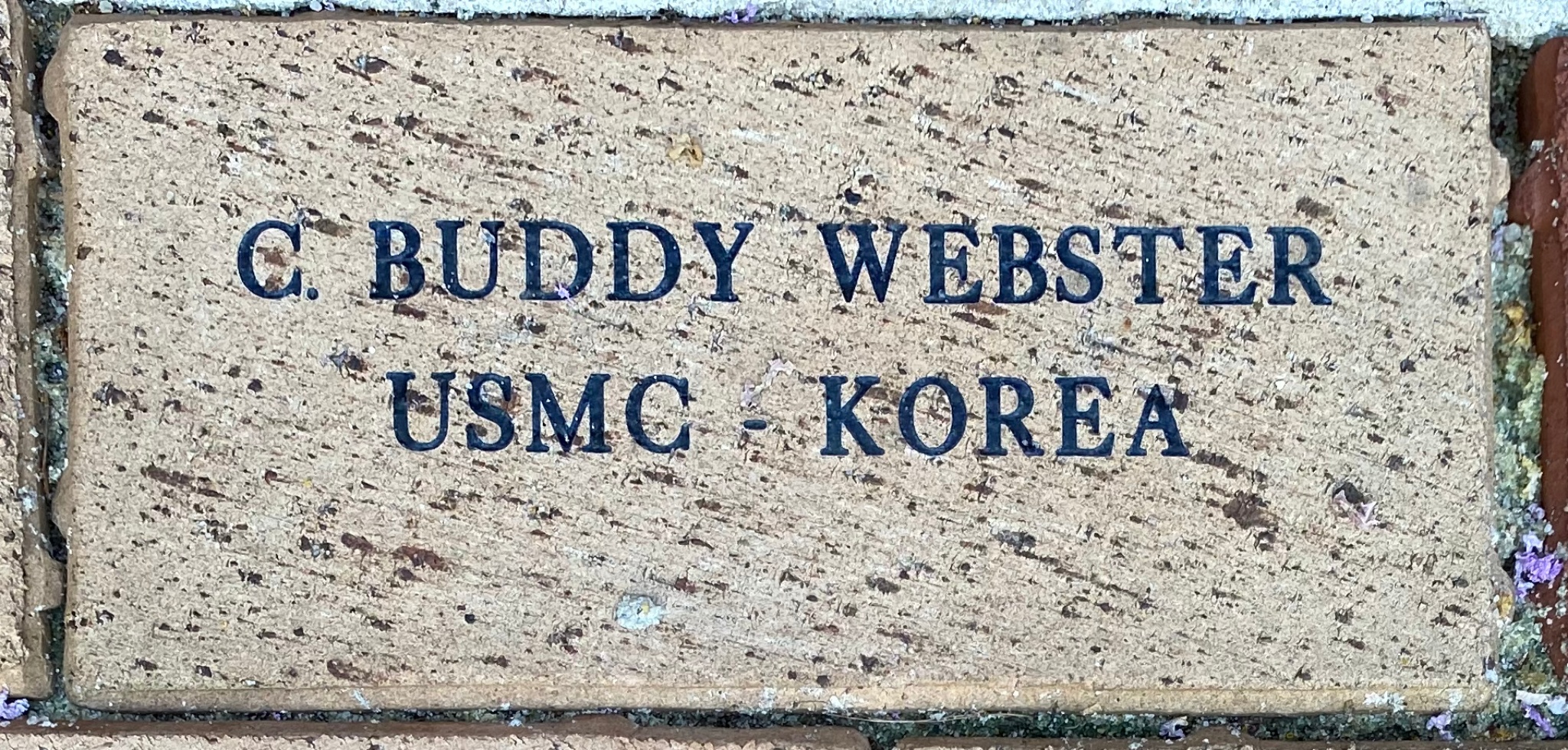 C. BUDDY WEBSTER USMC  KOREA
