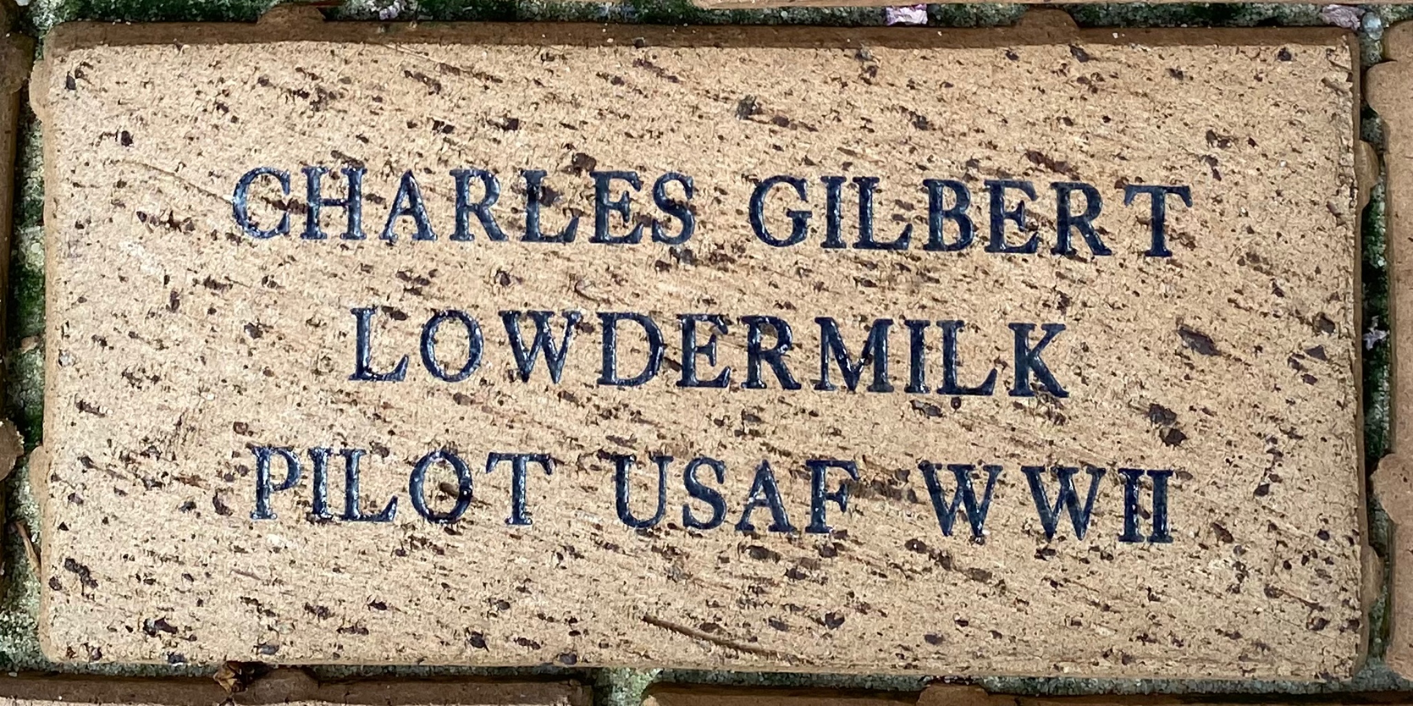 CHARLES GILBERT LOWDERMILK PILOT USAF WWII