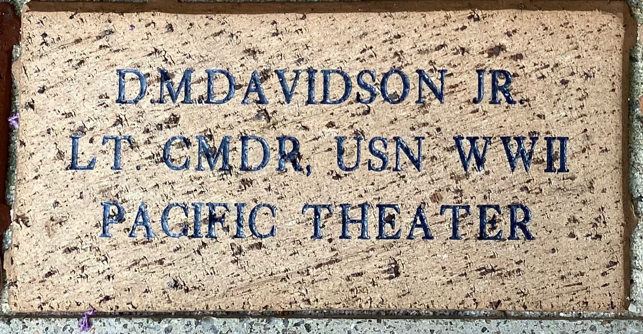D.M. DAVIDSON JR. LT. CMDR., USN WWII PACIFIC THEATER