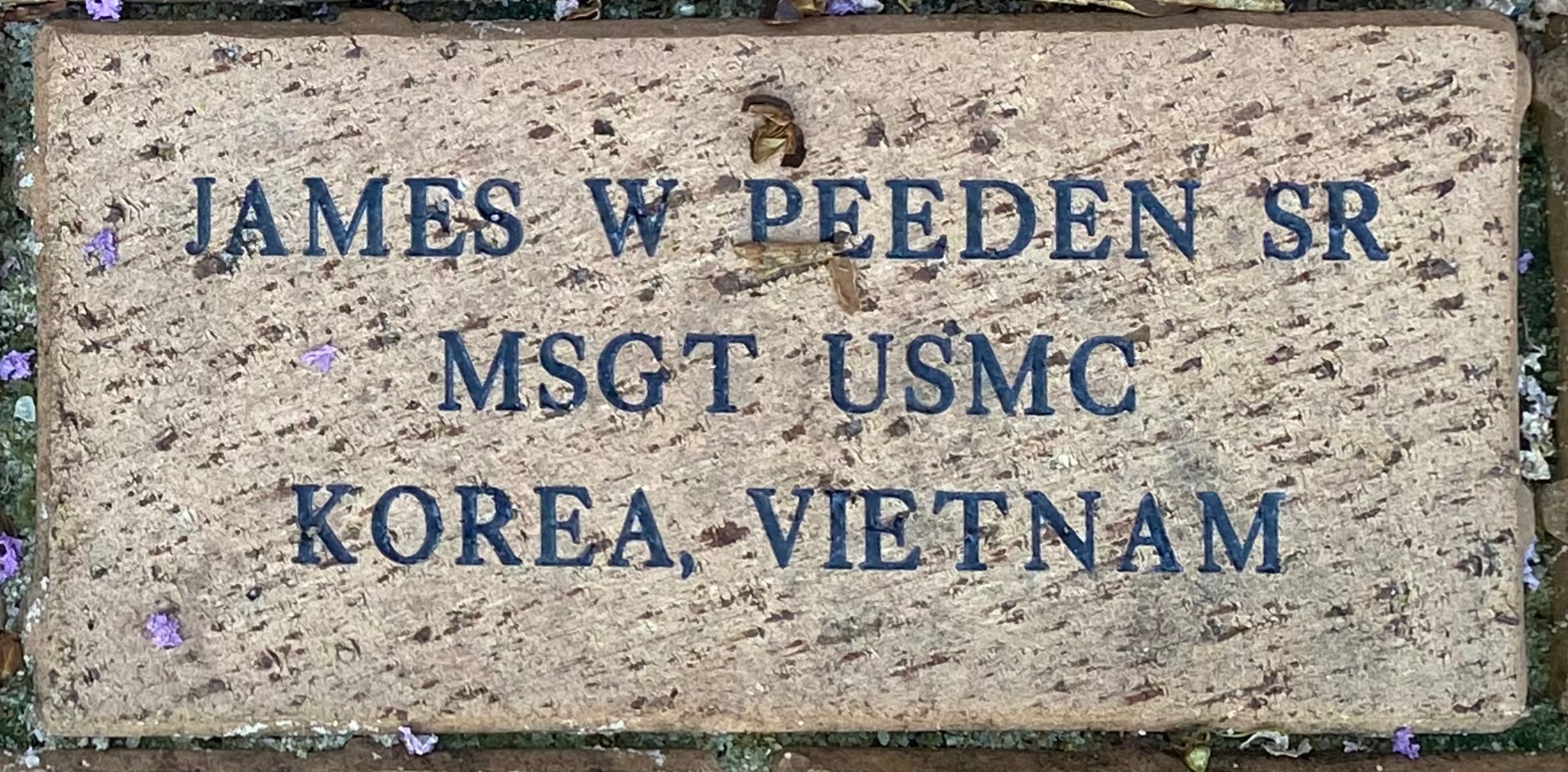 JAMES W PEEDEN SR MSGT USMC KOREA, VIETNAM