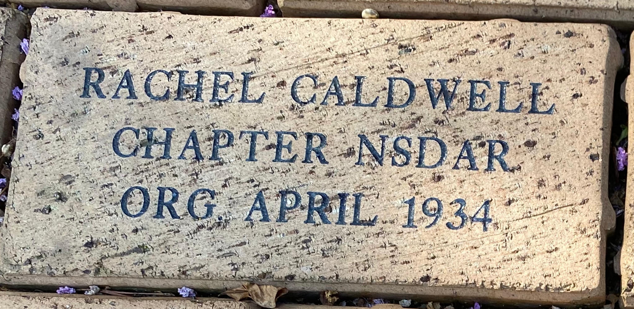RACHEL CALDWELL CHAPTER NSDAR ORG. APRIL 1934