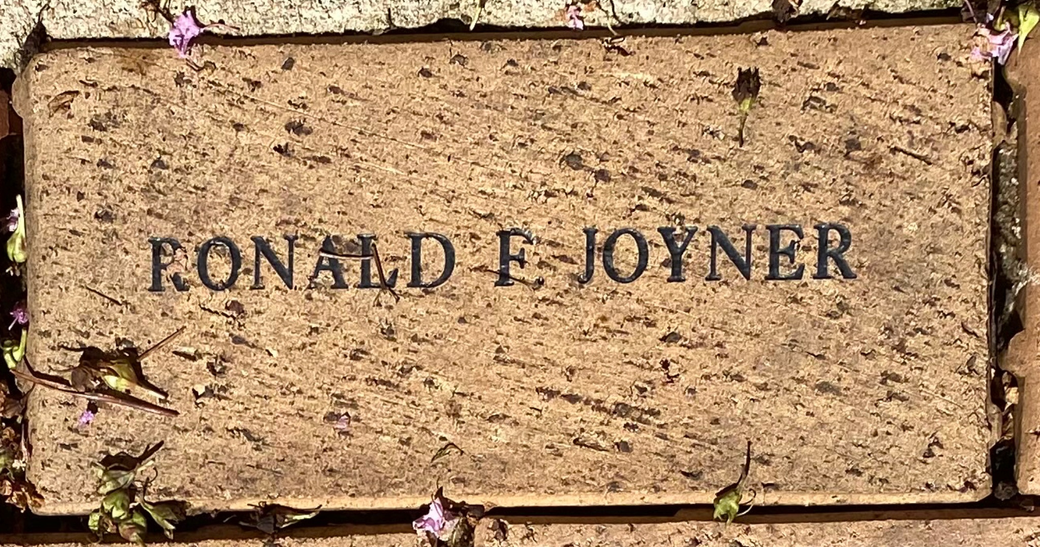 RONALD F. JOYNER