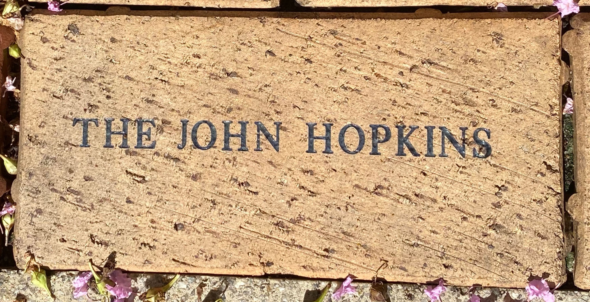 THE JOHN HOPKINS
