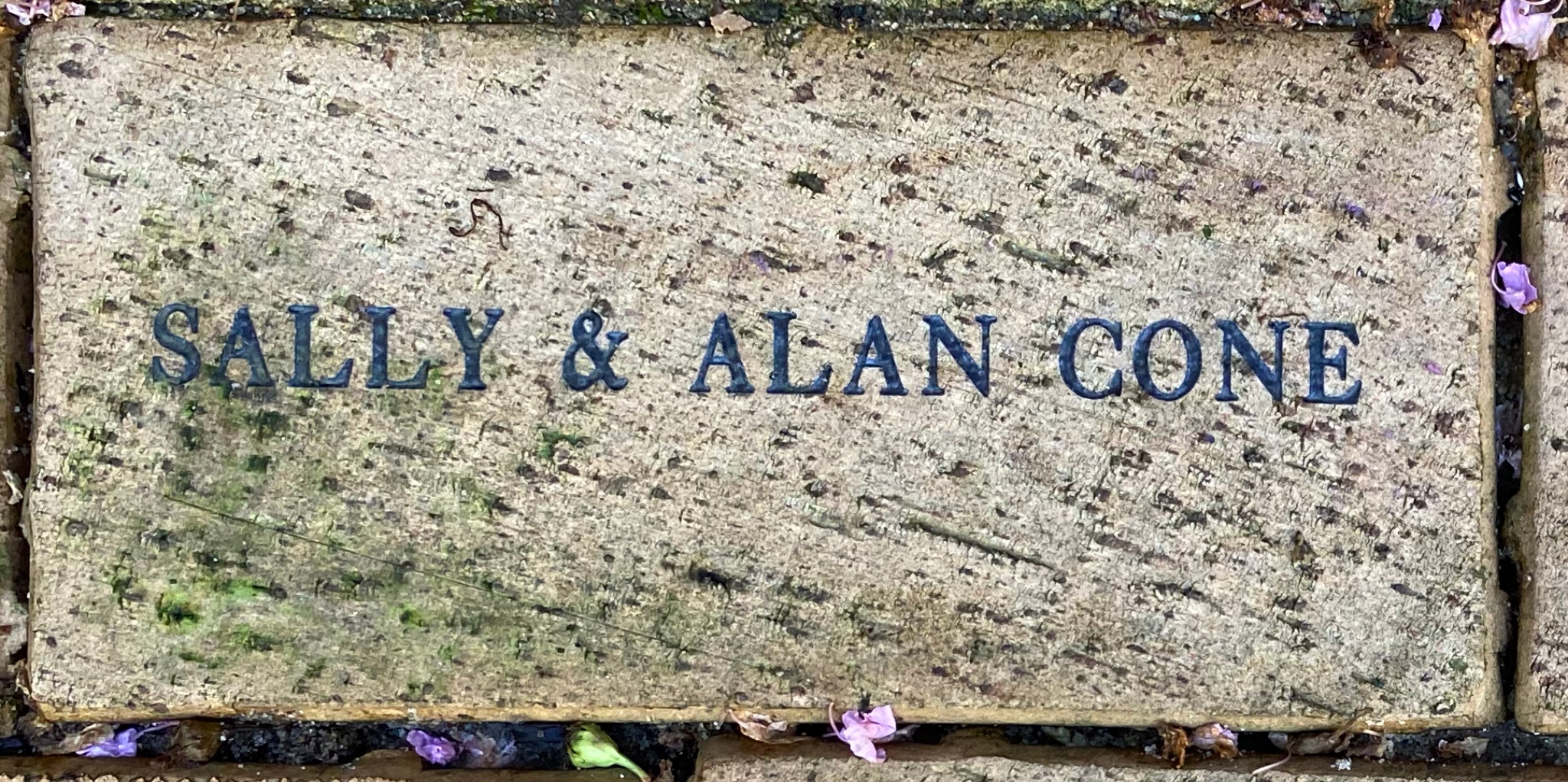 SALLY & ALAN CONE