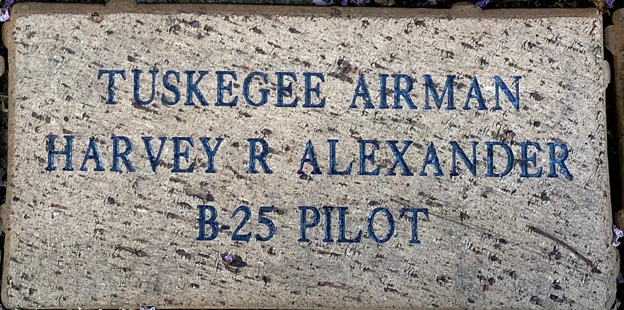 TUSKEGEE AIRMAN HARVEY R ALEXANDER B-25 PILOT