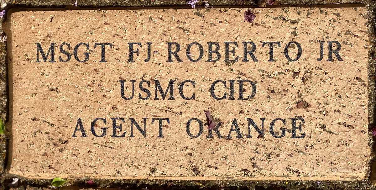 MSGT FJ Roberto, Jr